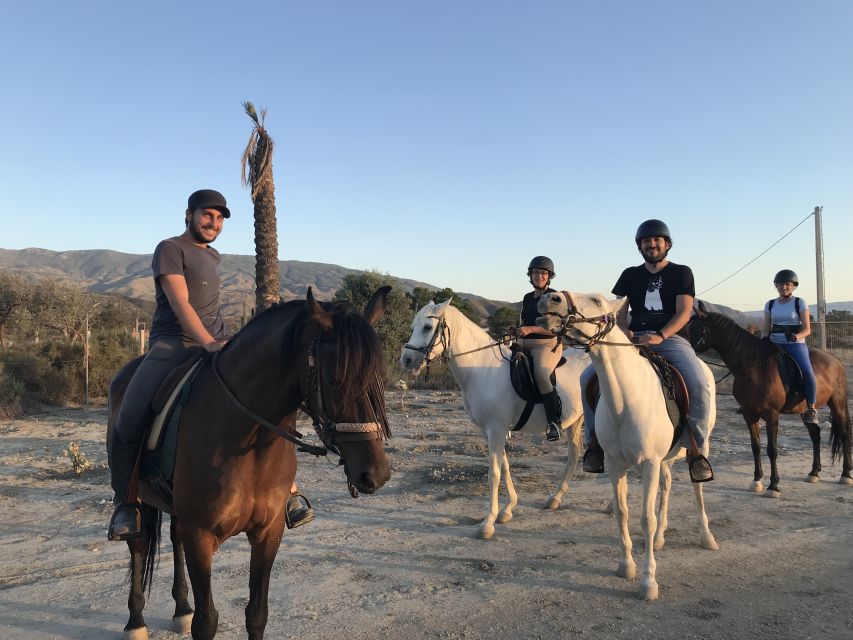 Almeria: Horse Riding Tour Through the Tabernas Desert - Key Details Before You Book
