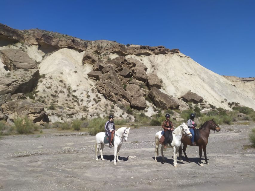 Almeria: Horse Riding Tour Through the Tabernas Desert - Starting at Rancho Malcaminos