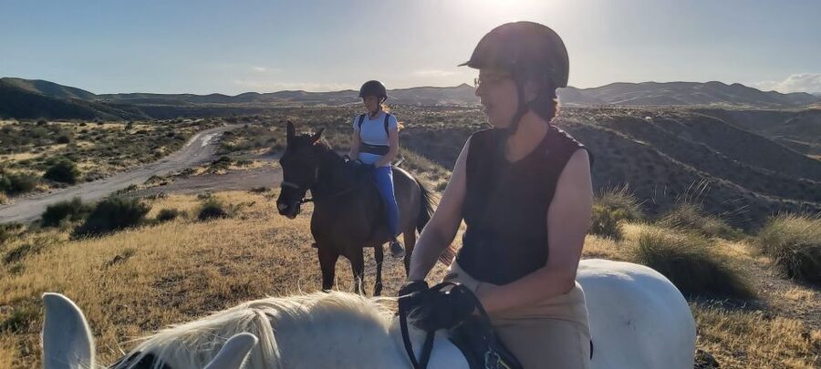 Almeria: Horse Riding Tour Through the Tabernas Desert - Film Country Without a Western Show
