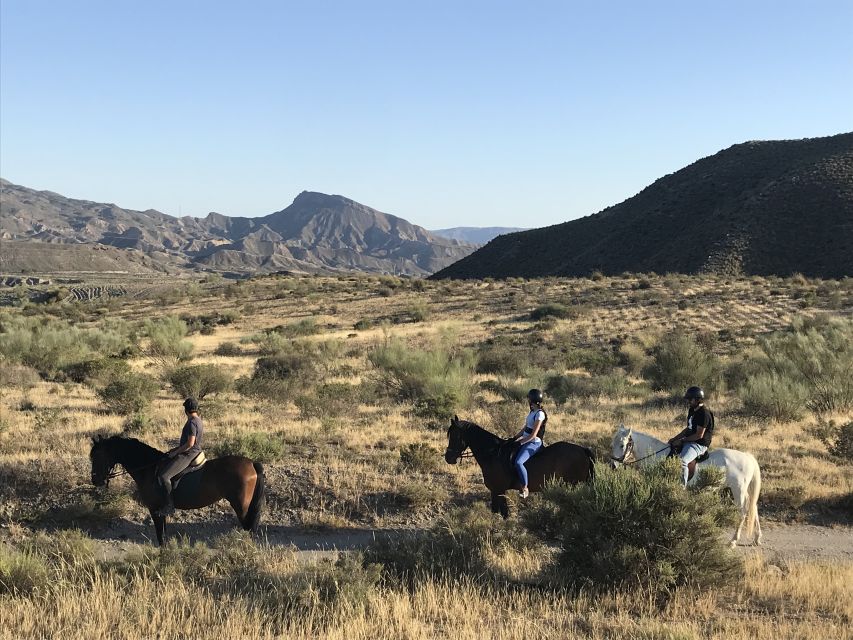 Almeria: Horse Riding Tour Through the Tabernas Desert - Why the Small Group Matters