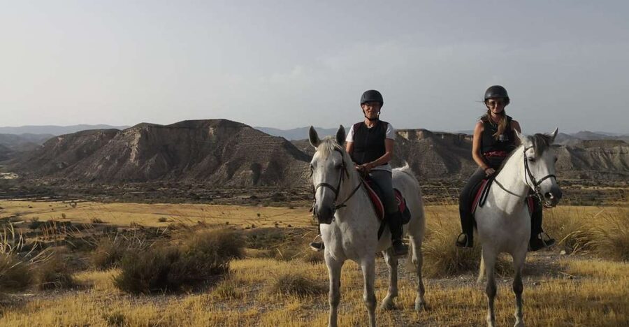 Almeria: Horse Riding Tour Through the Tabernas Desert - Your First Lesson in the Saddle