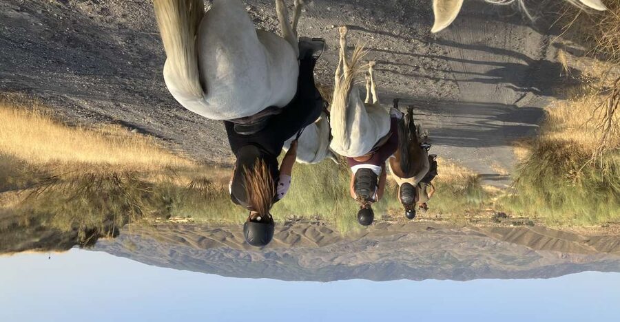 Almeria: Tabernas Desert Horse Riding for experienced riders - Key points to know before booking