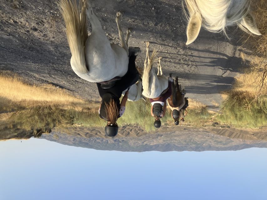 Almeria: Tabernas Desert Horse Riding for experienced riders - The first training session is the real test