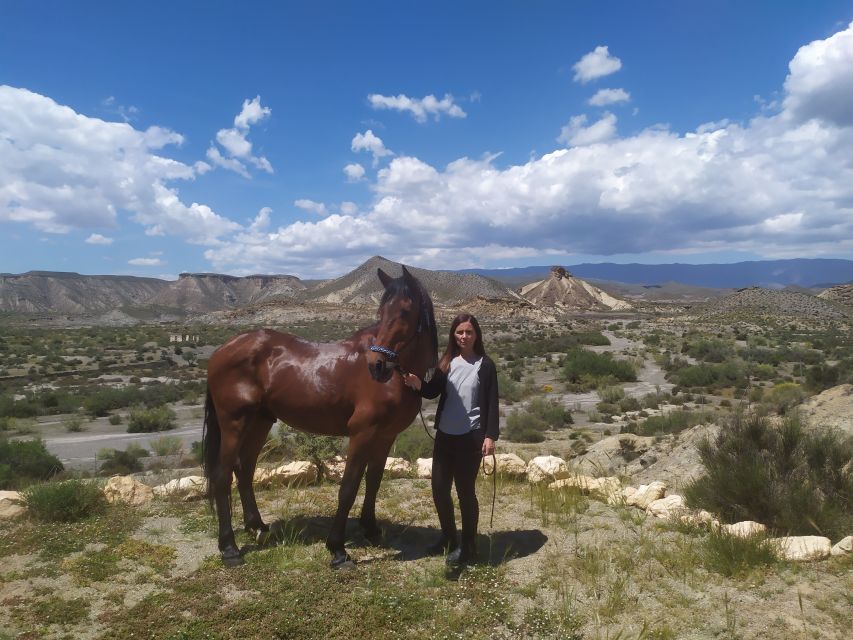 Almeria: Tabernas Desert Horse Riding for experienced riders - How the price compares with the experience