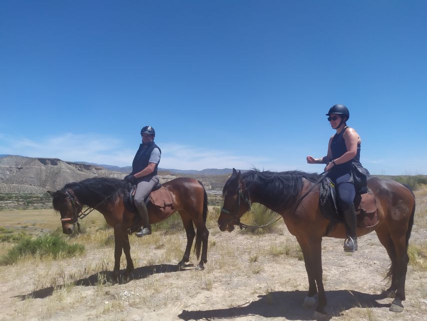 Almeria: Tabernas Desert Horse Riding for experienced riders - Who should book this ride