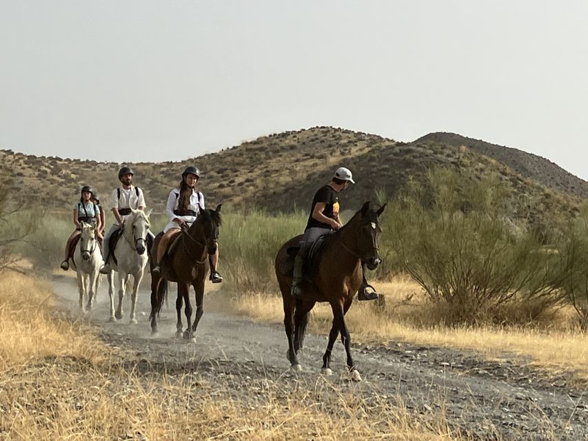 Almeria: Tabernas Desert Horse Riding for experienced riders - My call: book it only if you really ride