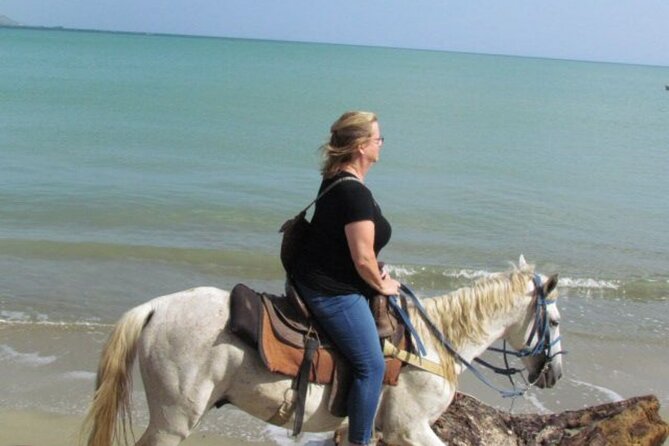 Amazing 3-Hour Horseback Riding at Puerto Plata with Pickup - How the horses and equipment affect the experience