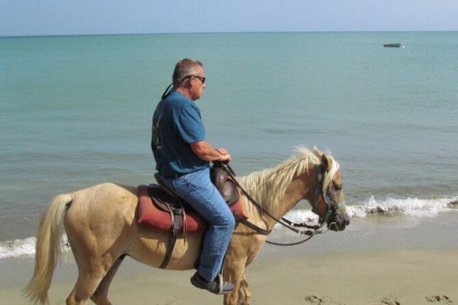 Amazing 3-Hour Horseback Riding at Puerto Plata with Pickup - Pickup from hotels and cruise ports