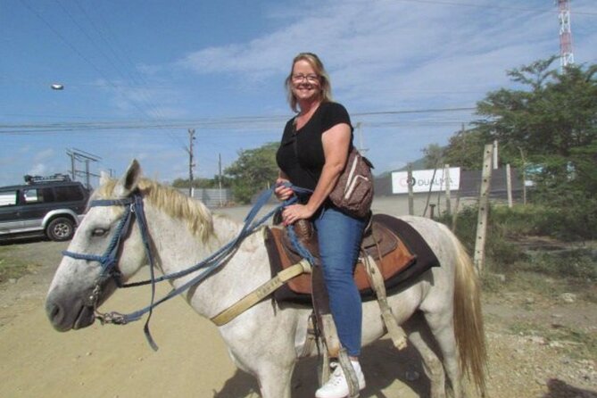 Amazing 3-Hour Horseback Riding at Puerto Plata with Pickup - Is $74.10 a fair price?