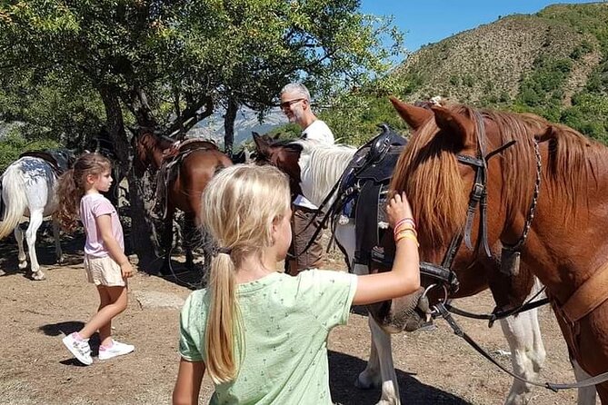 Amazing Horse Riding Experience at Vjosa National Park in Permet - Who should book this experience?