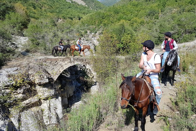Amazing Horse Riding Experience at Vjosa National Park in Permet - The horses and the riding instruction