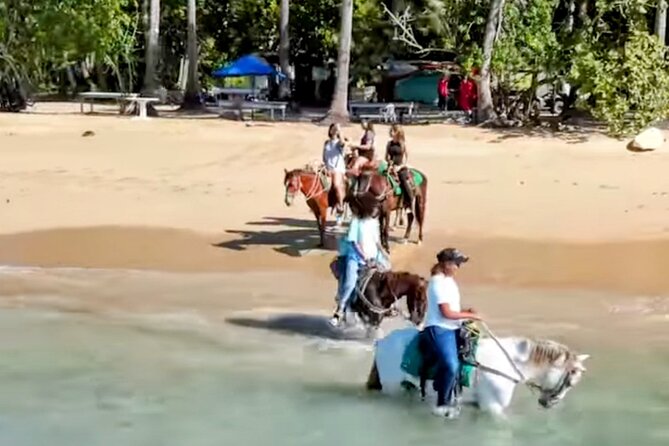 AMBER COVE-TAINO BAY Horses Beach Ride & City Sightseeing - Four things to know before booking