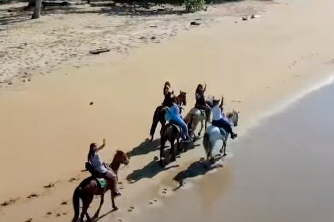 AMBER COVE-TAINO BAY Horses Beach Ride & City Sightseeing - Meeting your vehicle outside Amber Cove or Taino Bay
