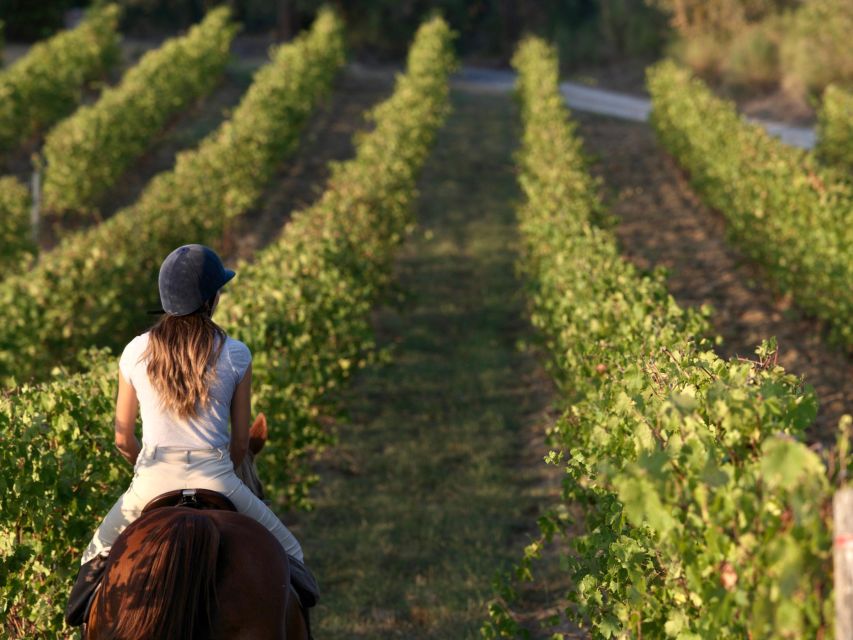 An Exclusive Horseback Experience in the Heart of Tuscany - Riding into the Siena countryside