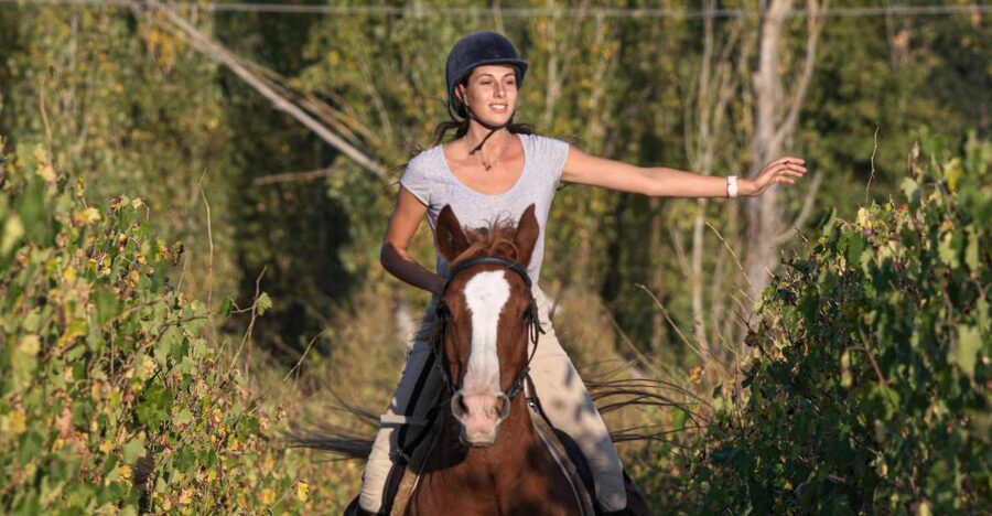 An Exclusive Horseback Experience in the Heart of Tuscany - Vineyards, olive trees, and broad Tuscan views