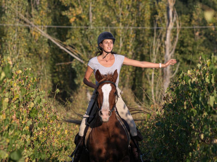 An Exclusive Horseback Experience in the Heart of Tuscany - Meeting the horses and the people behind the ride