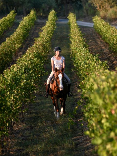 An Exclusive Horseback Experience in the Heart of Tuscany - Who will enjoy this most