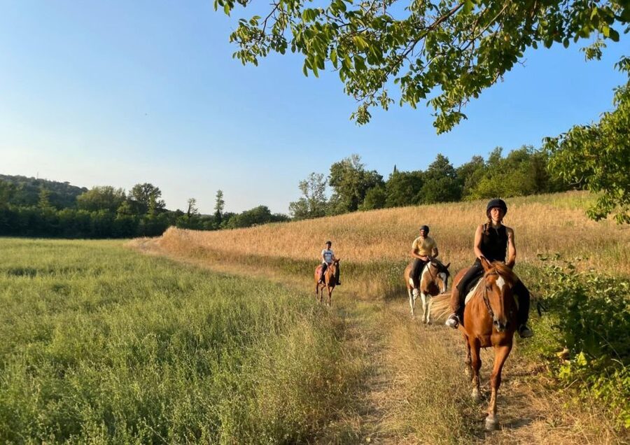 An Exclusive Horseback Experience in the Heart of Tuscany - Is this horseback ride worth booking?