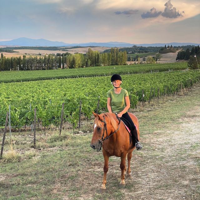 An Exclusive Horseback Experience in the Heart of Tuscany - Why beginners should feel comfortable