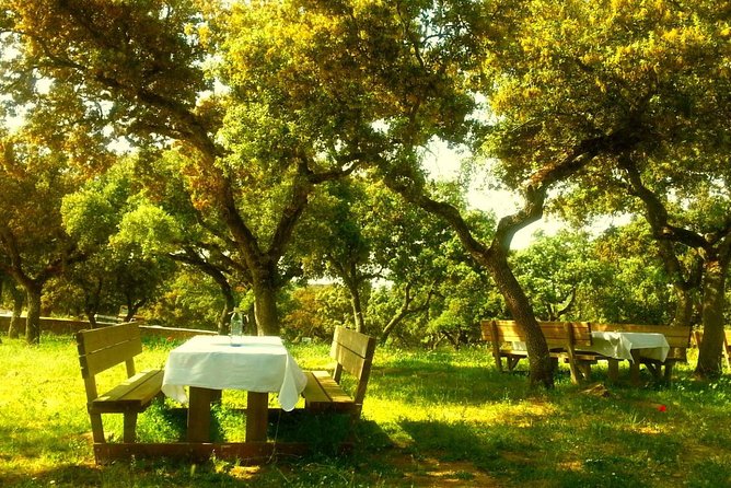 Andalucia Bull and Horse Farm and Ronda Private Tour from Malaga - Why this Malaga day trip feels different