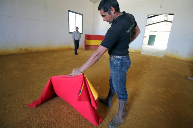 Andalucia Bull and Horse Farm and Ronda Private Tour from Malaga - Wine and tapas at the farm