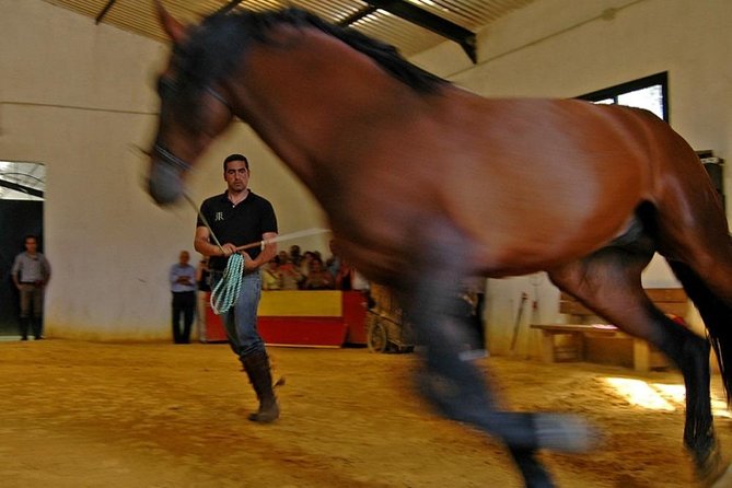 Andalucia Bull and Horse Farm and Ronda Private Tour from Malaga - Ronda’s bull ring in a short 30-minute stop