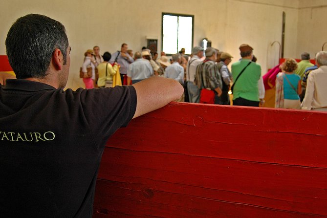 Andalucia Bull and Horse Farm and Ronda Private Tour from Malaga - Two hours with Andalusian horses and bulls