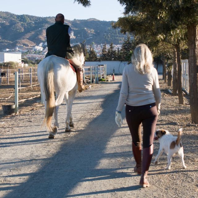 Andalucia: Horse Riding Tour with Picnic - A two-hour taste of rural Andalucia