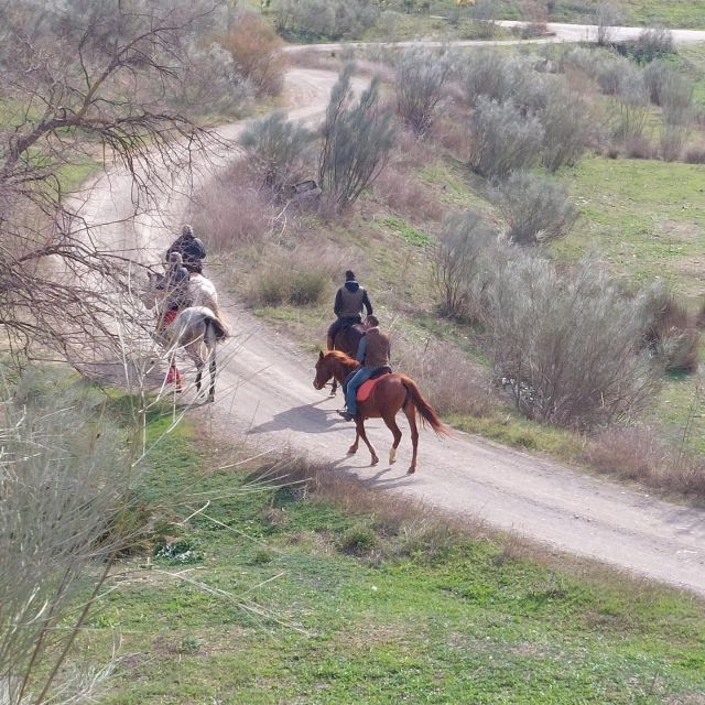Andalucia: Horse Riding Tour with Picnic - Getting comfortable before the countryside ride