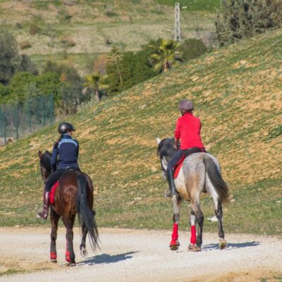 Andalucia: Horse Riding Tour with Picnic
