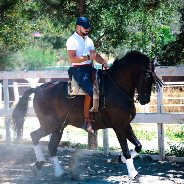 Andalucia: Horse Riding Tour with Picnic - A picnic with Spanish wine, cheese, and meats