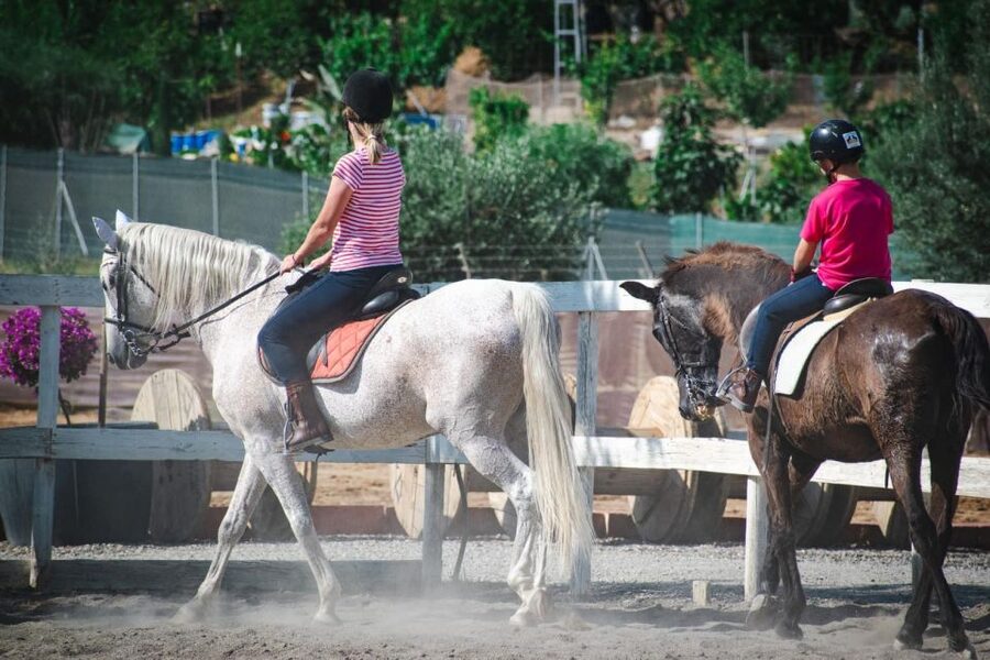 Andalucia: Horse Riding Tour with Picnic - Is $177 per person good value?