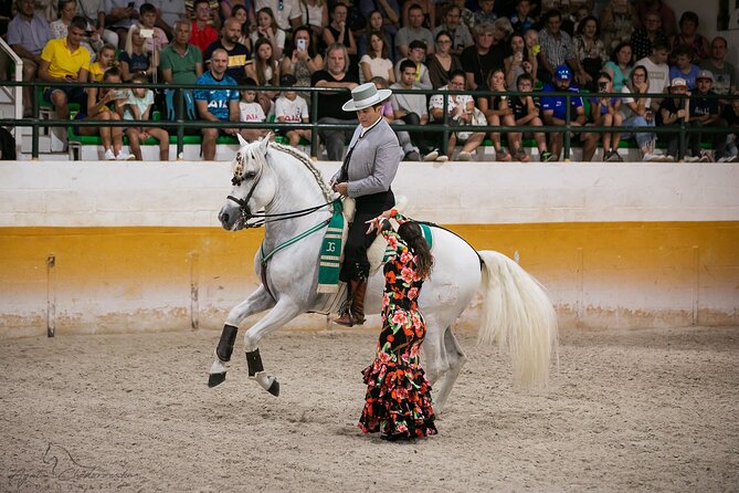 Andalusian Horses and Flamenco show with transportation - Key points before you book