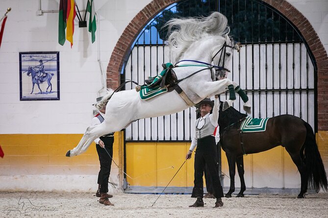 Andalusian Horses and Flamenco show with transportation - What the El Ranchito show is really about