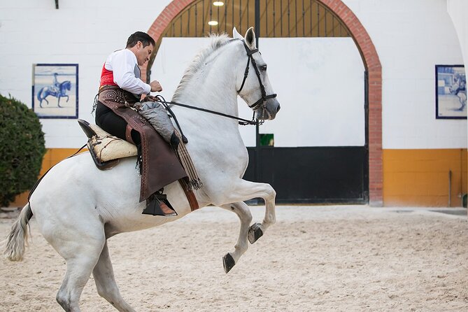 Andalusian Horses and Flamenco show with transportation - Who will enjoy this most?