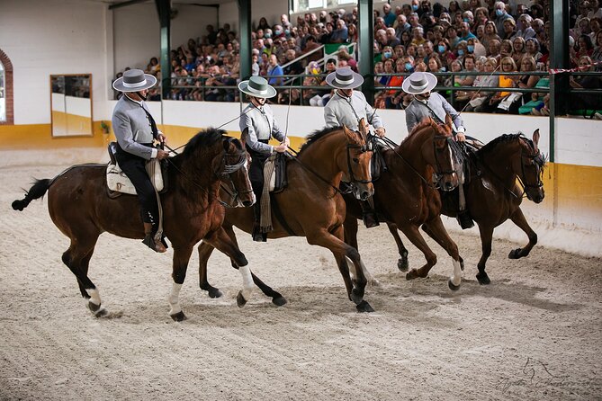 Andalusian Horses and Flamenco show with transportation - The equestrian ballet: skill, repetition, and style
