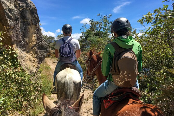 Andes Mountains Horseback Riding - Half Day - Sugarcane tea and the included picnic