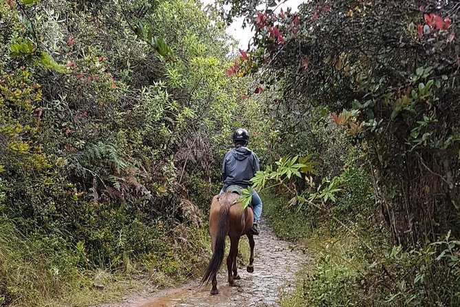 Andes Mountains Horseback Riding - Half Day - Getting settled with your horse and helmet