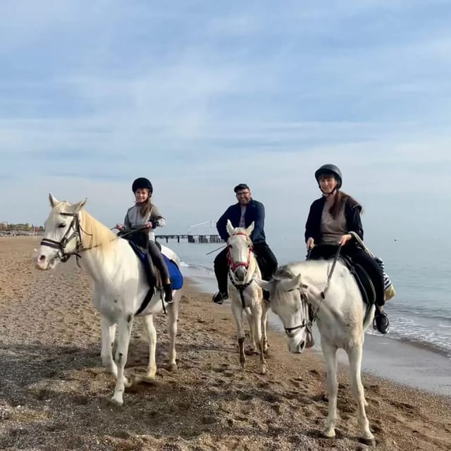 Antalya : Belek , Kundu , Horse Riding - Learning the basics before the ride