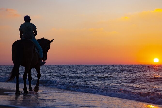 Antalya Horse Riding On Beach And Through The Forests For 2 Hours - What happens before you mount