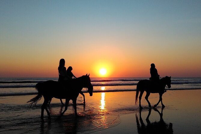 Antalya Horse Riding On Beach And Through The Forests For 2 Hours - The real value of the $60 price