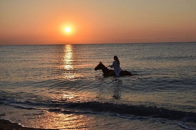 Antalya Horse Riding On Beach And Through The Forests For 2 Hours - Sunrise and sunset sessions in Lara