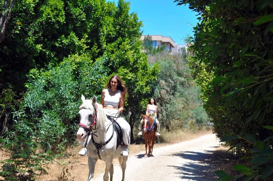 Antalya: Horse Riding on Sea and in the Forest - Dogs, beach conditions, and other small surprises