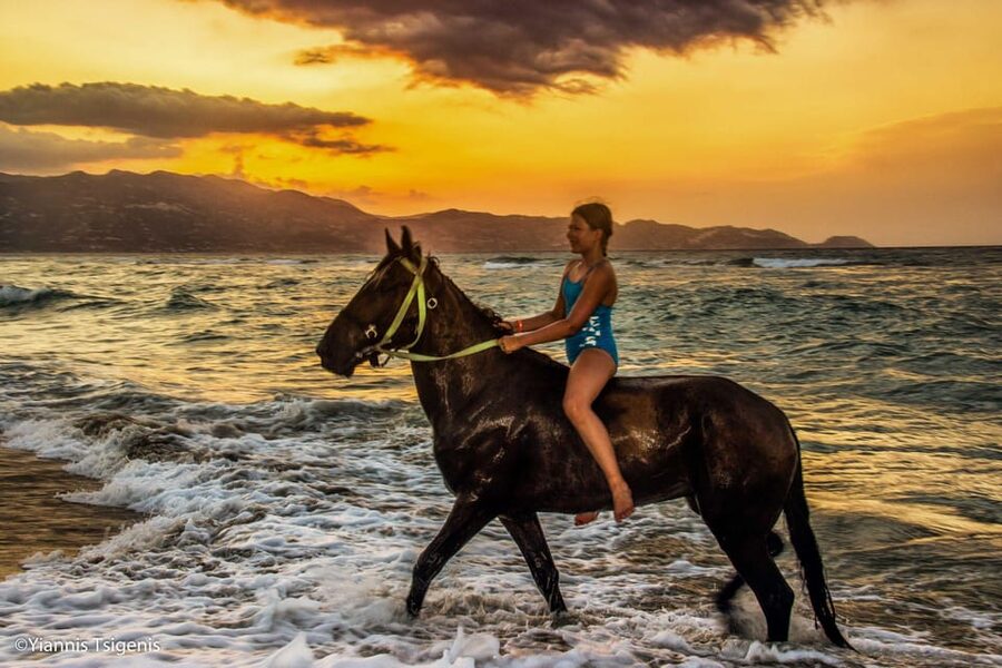 Antalya: Lara Beach & Forrest Horse Riding Safari - The first hour through trees and crop fields