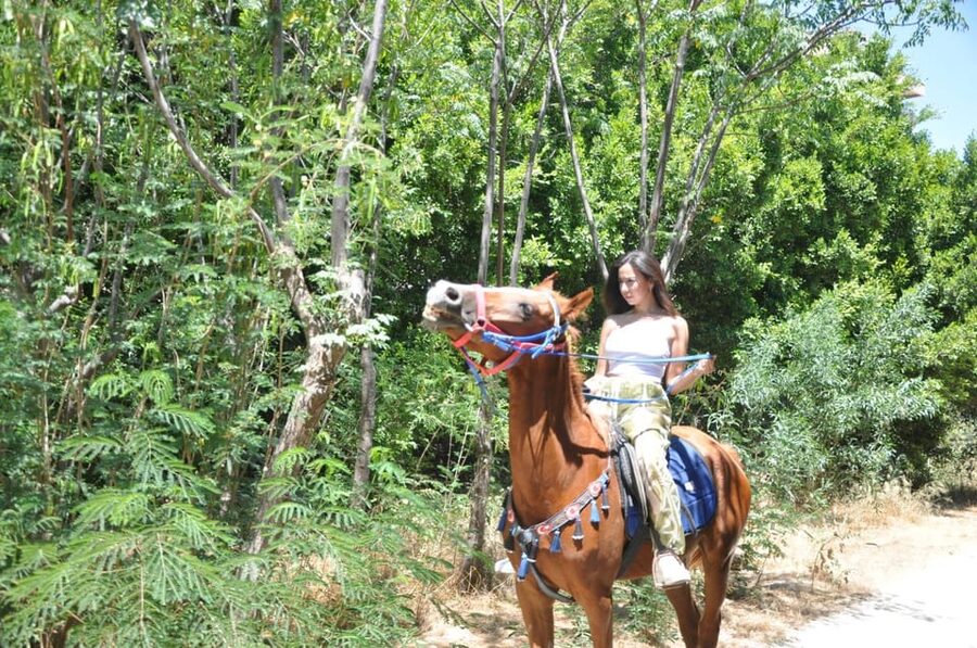 Antalya: Lara Beach & Forrest Horse Riding Safari - How much value do you get for $58?
