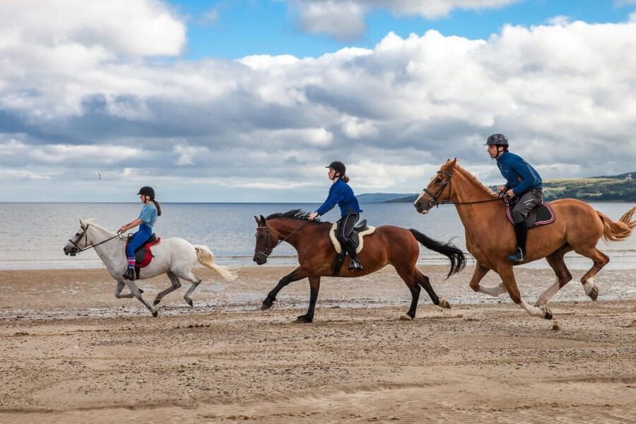 Antalya: Lara Beach & Forrest Horse Riding Safari - Cancellation, language, and booking details