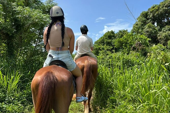 Antigua Horse Ride and Swim - Key points at a glance