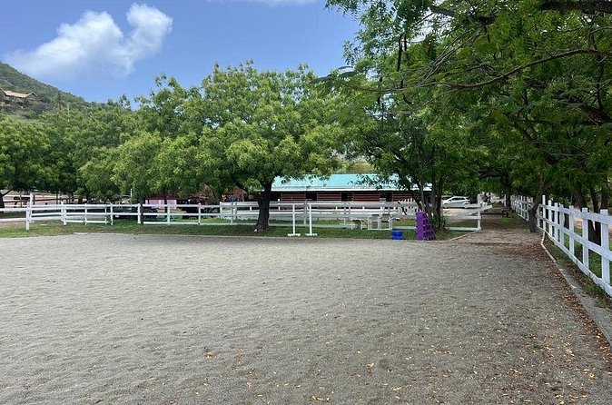 Antigua Horse Ride and Swim - From Spring Hill Stables to the sea