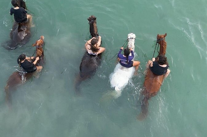 Antigua Horse Ride and Swim - What the $120 price really covers