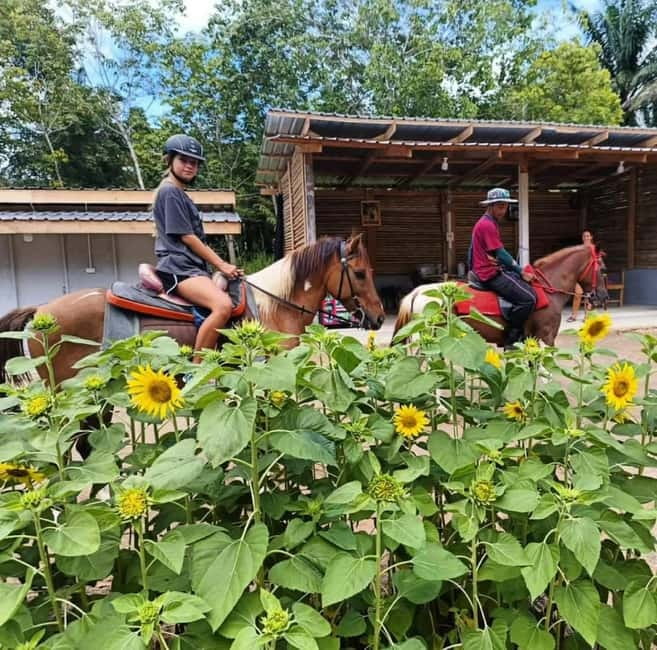 Ao Nang: Horse Riding Tour and kayaking clongrood - What the $77 price covers